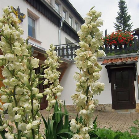 Ferienhaus Haus Am Wald Stolberg i. Harz Exteriör bild