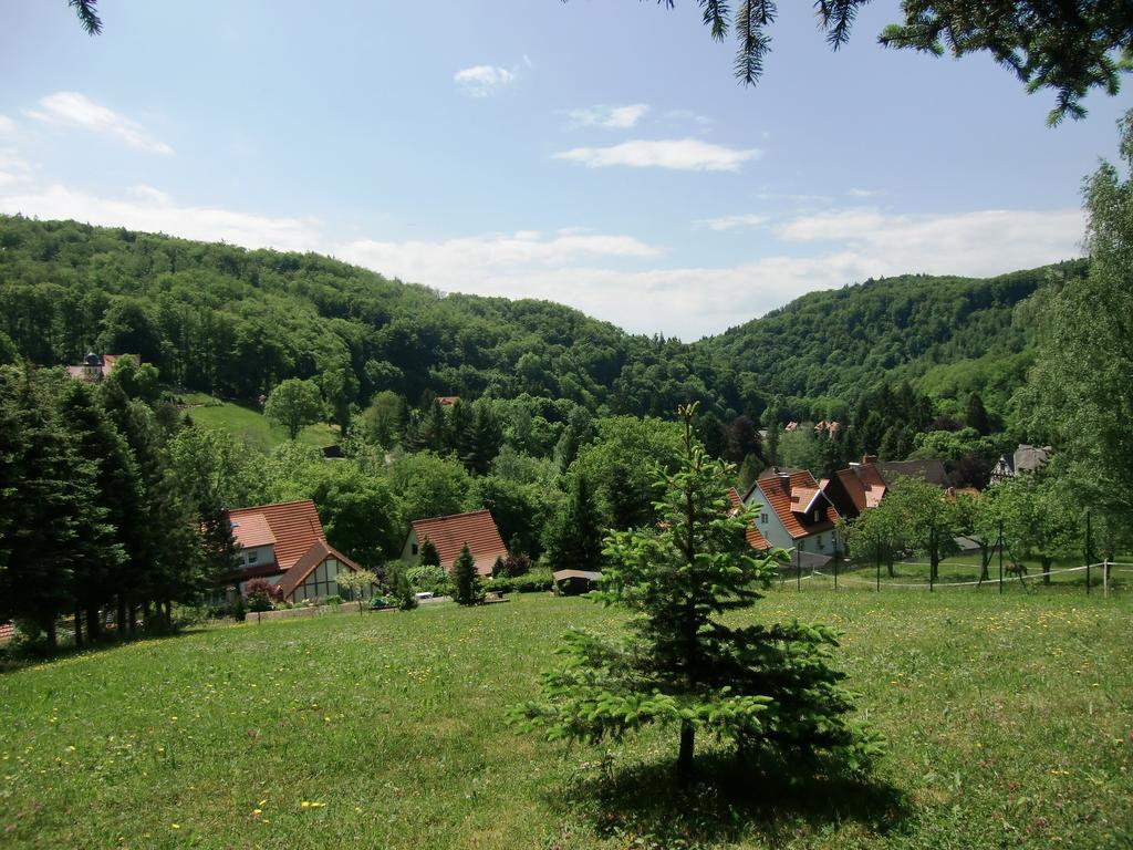 Ferienhaus Haus Am Wald Stolberg i. Harz Exteriör bild