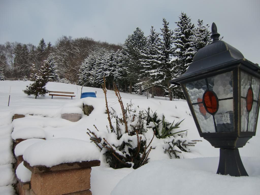 Ferienhaus Haus Am Wald Stolberg i. Harz Exteriör bild
