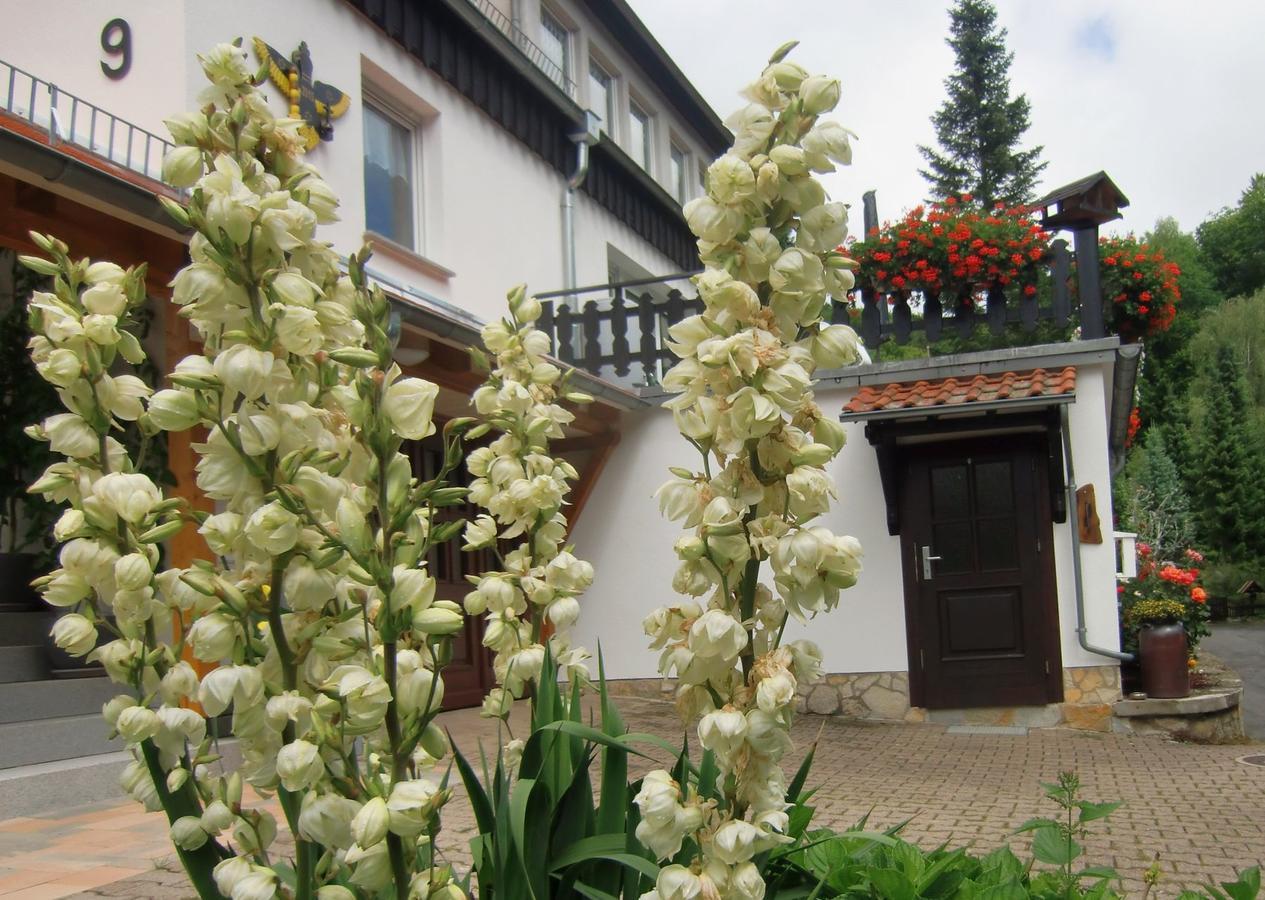 Ferienhaus Haus Am Wald Stolberg i. Harz Exteriör bild