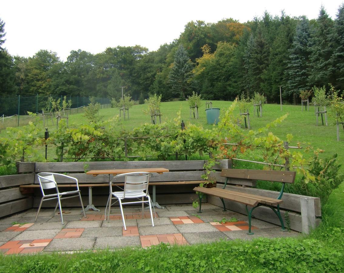 Ferienhaus Haus Am Wald Stolberg i. Harz Exteriör bild