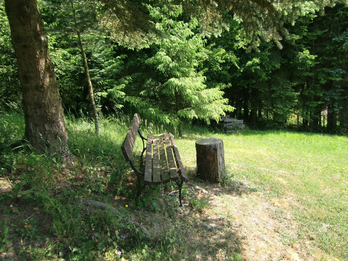 Ferienhaus Haus Am Wald Stolberg i. Harz Exteriör bild